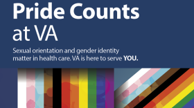 Lexington's Veterans Affairs Healthcare System offers a wide variety of services to LGBTQ-plus vets.