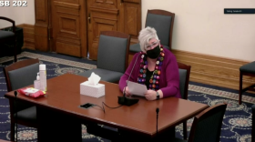 Bringhurst, Indiana, resident Vickie Ayres advocates for the Essential Family Caregiver Program in a Senate committee.