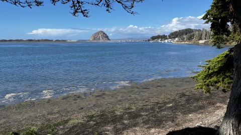 The view from Morro Bay's State Park Museum of Natural History overlooking Morro Rock and the three iconic smokestacks from afar.