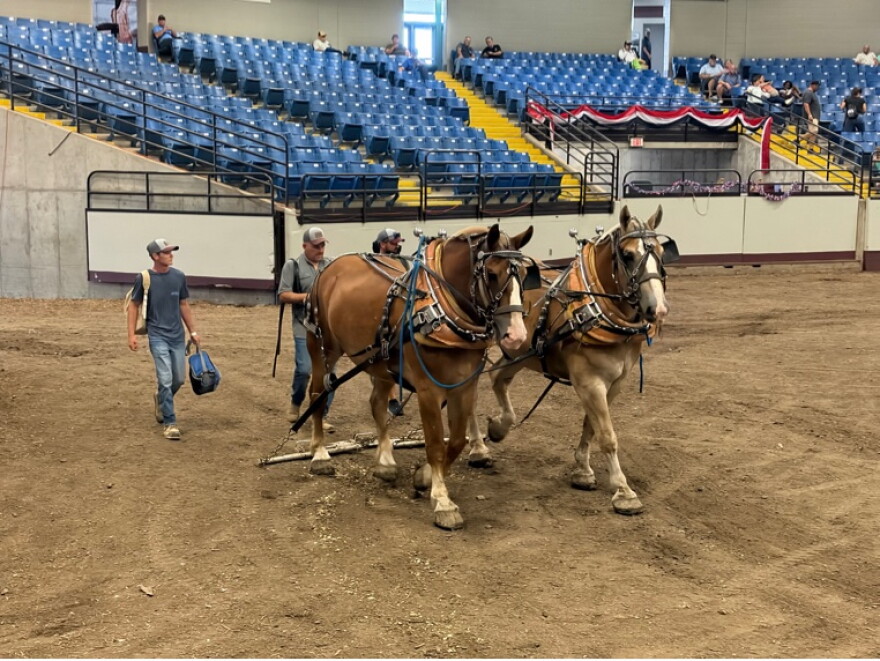 Competitors at the Missouri State Fair draft horse pull enter Mathewson Exhibition Center on Wednesday, Aug. 19.
