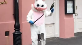 Brennan's Sabre Brandishing Bunny