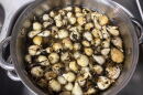 Camas is a key traditional food for the Nimíipuu and digging for it is also a way of connecting to the land