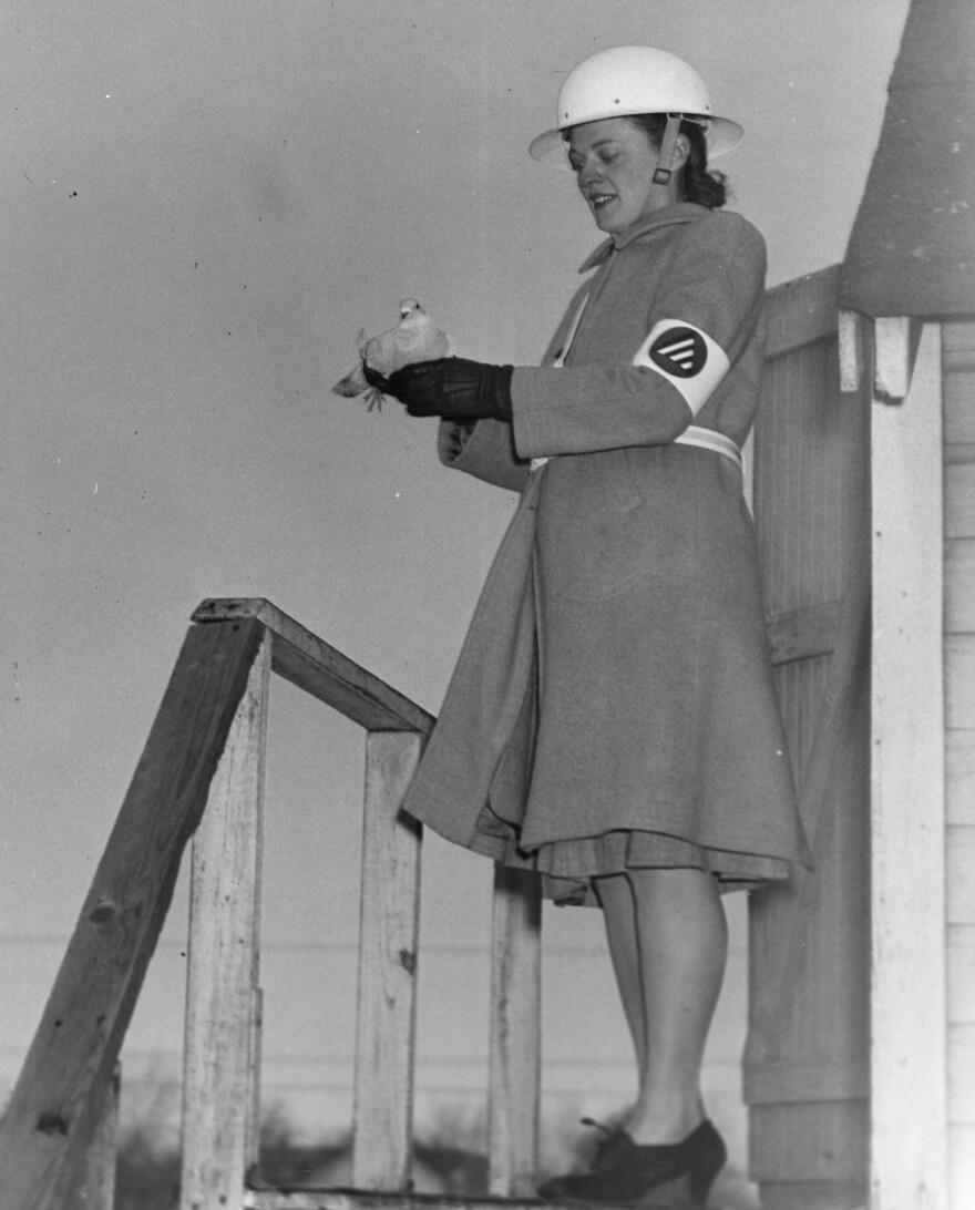 black ad white image of a woman wearing a Civilian Defense uniform holding a carrier pigeon on a wooden deck