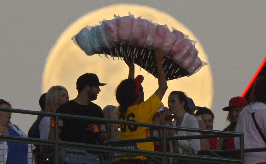 A cotton candy vendor at a Los Angeles Angels baseball game against the Pittsburgh Pirates, Anaheim, Calif., June 22