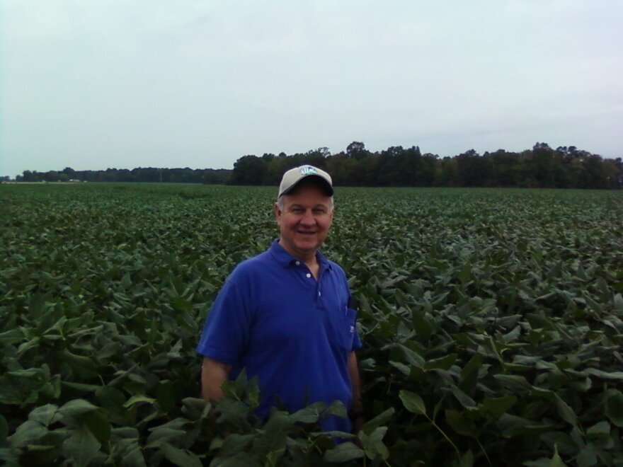 Butch Calhoun, seen here in his soybean fields, takes over as head of the Arkansas State Plant Board on Monday, Aug. 13, 2018.