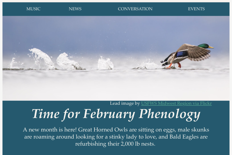 A section of the February 2, 2024 Season Watch Newsletter.