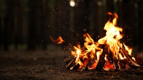 small bonfire with burning firewood in forest
