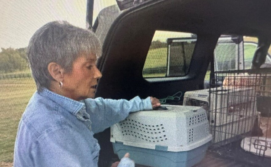 Diane picked up five kittens from a rescue.