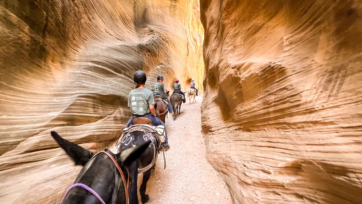 Teens steer mules through a southern Utah slot canyon at Cowboy Camp, July 8, 2026.