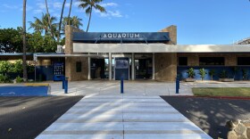 The Waikīkī Aquarium was on the brink of financial ruin due to the pandemic. But support from donors, the University of Hawaiʻi, and state legislature helped see them through. Now the aquarium is looking toward reopening and recovery.