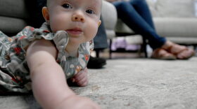 A baby holds its head up while lying on the floor