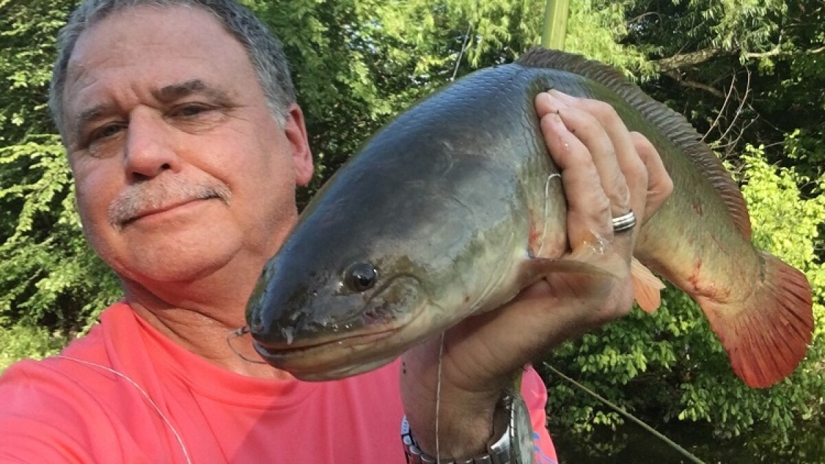 fin the fish hook local news Reaction Tackle Catfish Circle Hooks A group of good Samaritans