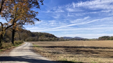 A trail at the Biltmore Estate in Asheville, as seen on Saturday, Nov. 1, 2025.