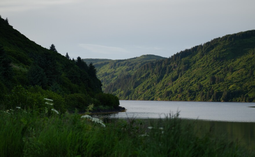 The view from Anton Larsen Bay in Kodiak. The area is a prime viewing location for Kodiak bears.