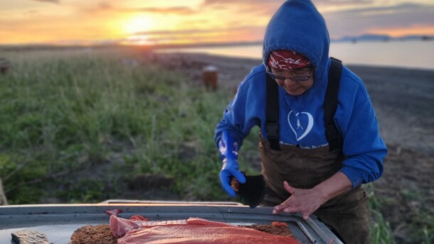Photo by Mariam Nanalook, submitted to AFN's 2023 Subsistence photography contest.