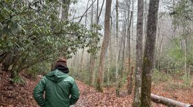 The Roadless Rule protects 32 roadless areas in western North Carolina, including the South Mills River.