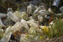 Plastic bottles and other garbage are seen next to a beach.