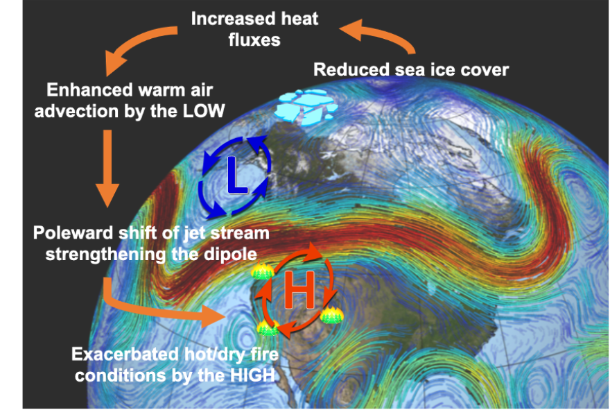 A schematic diagram for the teleconnection between Arctic sea-ice loss and increasing fire hazards over the western U.S. 