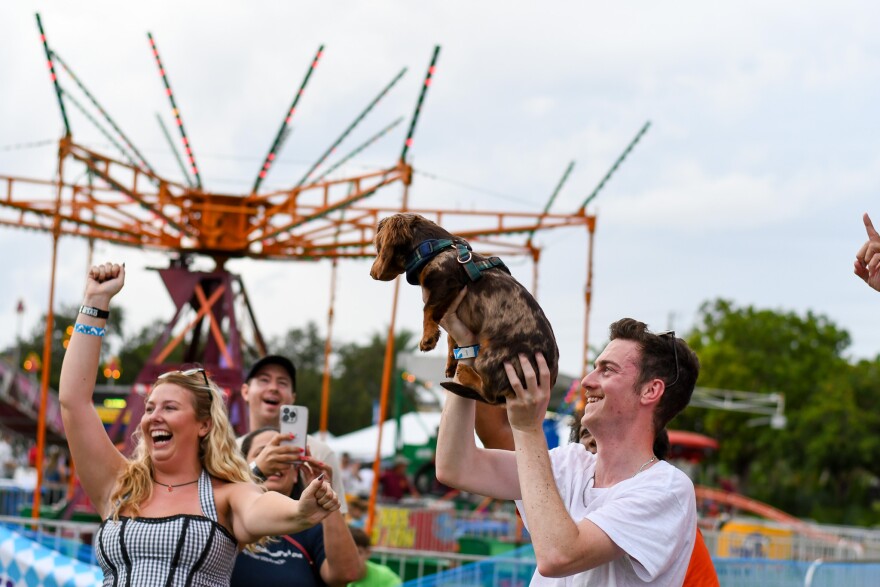 Finn, the dapple dachshund, has been crowned the winner of the Dachshund Dash, a yearly race held during the city’s Oktoberfest celebration last Saturday.