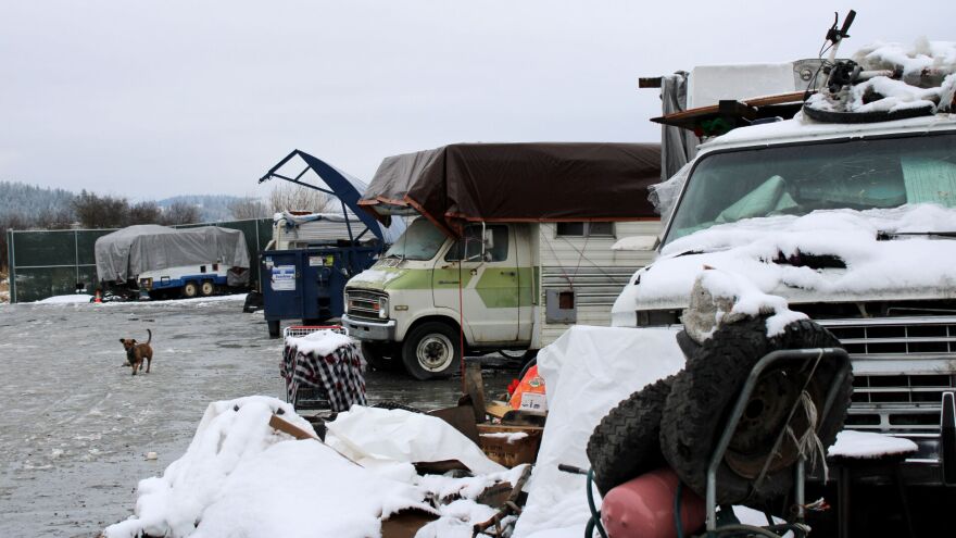 A dog walks through the Colville homeless camp last Tuesday when around 30 people were living on-site. The city of Colville plans to close the camp next year.