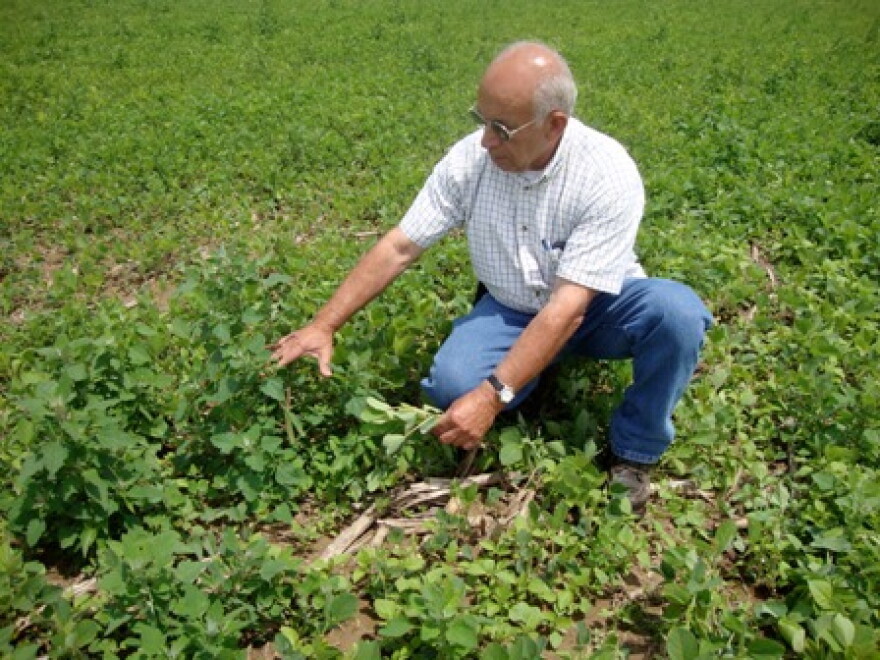 Bill Haddad, agri-chemical salesman