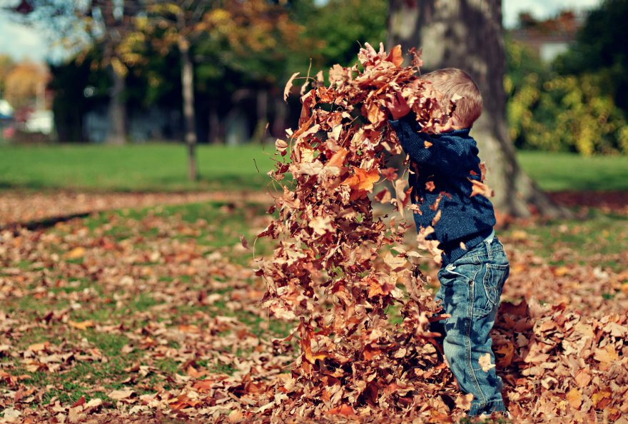 A small child mid throwing a pile of dried leaves in the air. There are also more leaves littering the grass around them.