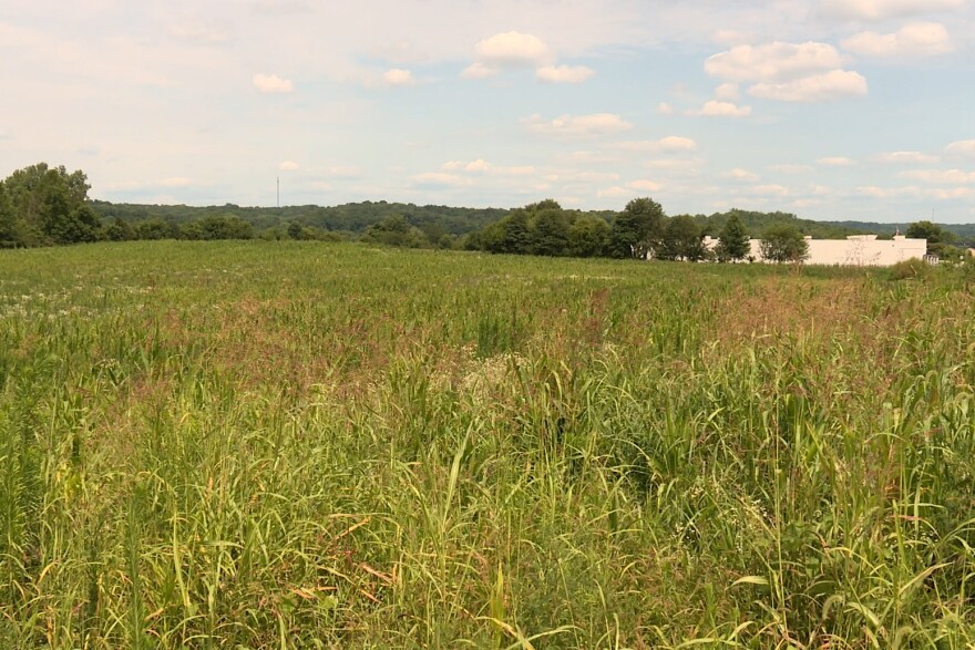 An empty field with trees in the background