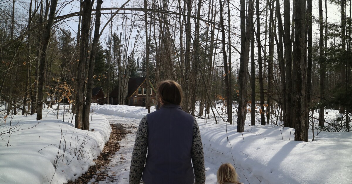 Ice storm recovery may 'take a lifetime' for Michigan farmers