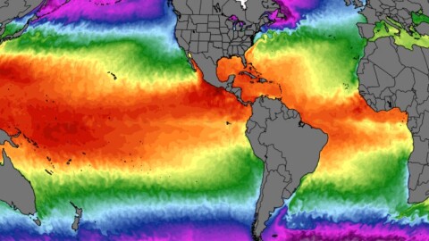 Sea surface temperatures as of mid-June.