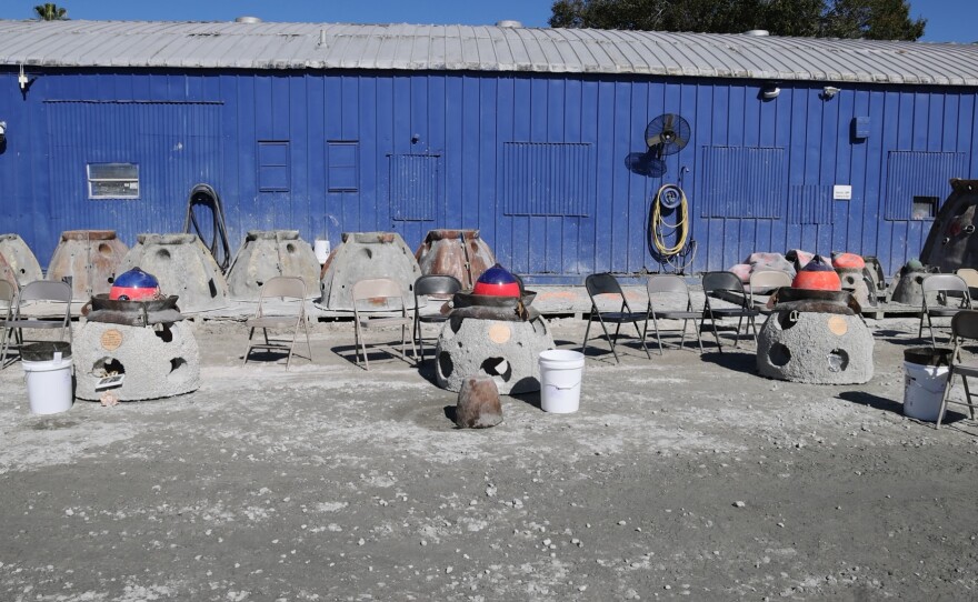 Eternal Reefs have been a popular option for ocean lovers. Cremated remains are mixed into concrete and then turned into a reef ball. That rest ball is placed in a permitted area offshore. Over time, marine life moves in and it becomes a coral reef. Eternal Reefs in Sarasota, offers an option for burial that’s been available for 27 years. And the reef balls can be personalized. The family of Martha “Mazzey” Tally Honored her wishes and placed her remains in a reef ball. What people decide about their end of life arrangements can say *everything* about how they lived. We met with three families who chose a *different* kind of goodbye. One by land, one by water and another just under the skin.