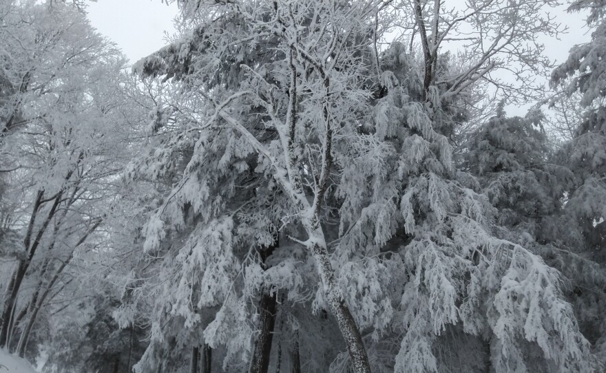 Images of a trip up to transmitter in wintertime.