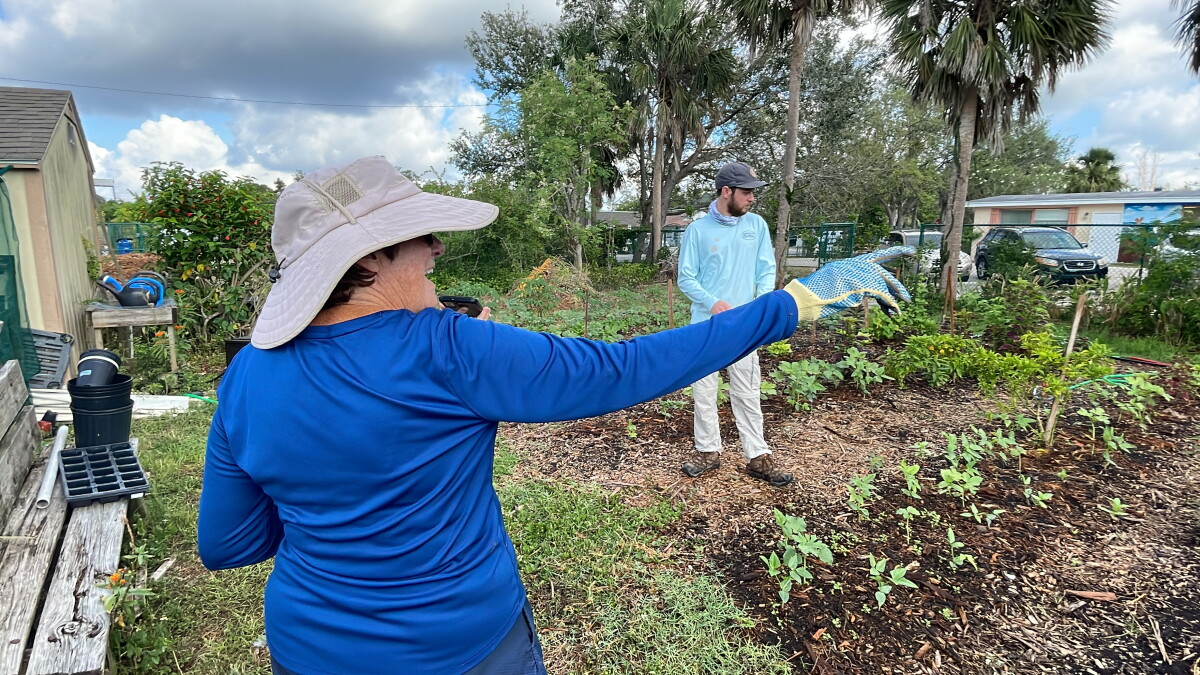 Pine Manor Community Garden harvests $1,000 grant for bringing change to the community - Vimarsana News