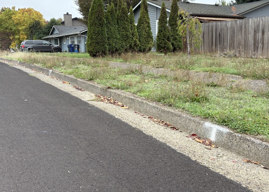 In the Bethel neighborhood in northwest Eugene, curbs are marked for future tree planting in an area with particularly low canopy coverage.