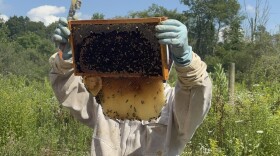 Sonny Kierzkowski holds up a frame filled with honey and a honeycomb bees built around it at Keystone College on July 23.