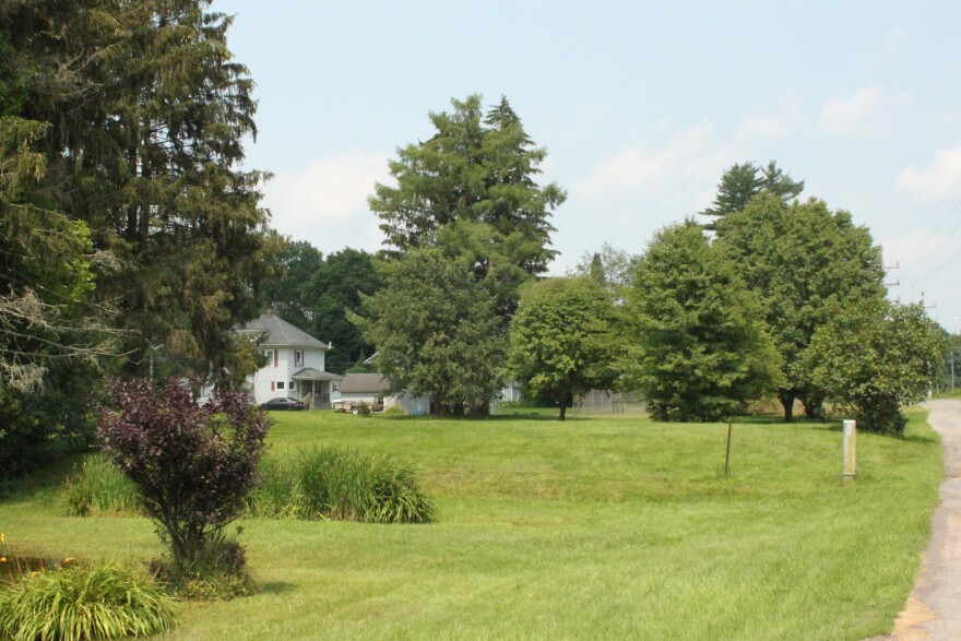 Floodplain buyout parcels along Railroad Avenue. Before the 2011 floods, there were 20 homes along the street. (Jillian Forstadt/WSKG)