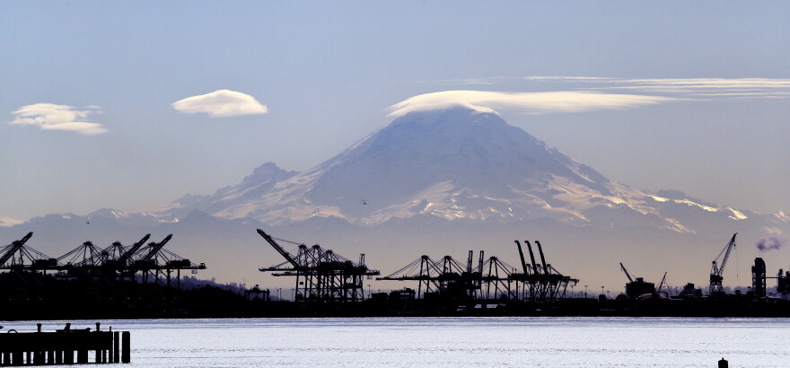 Cranes in front of Mount Rainier. 