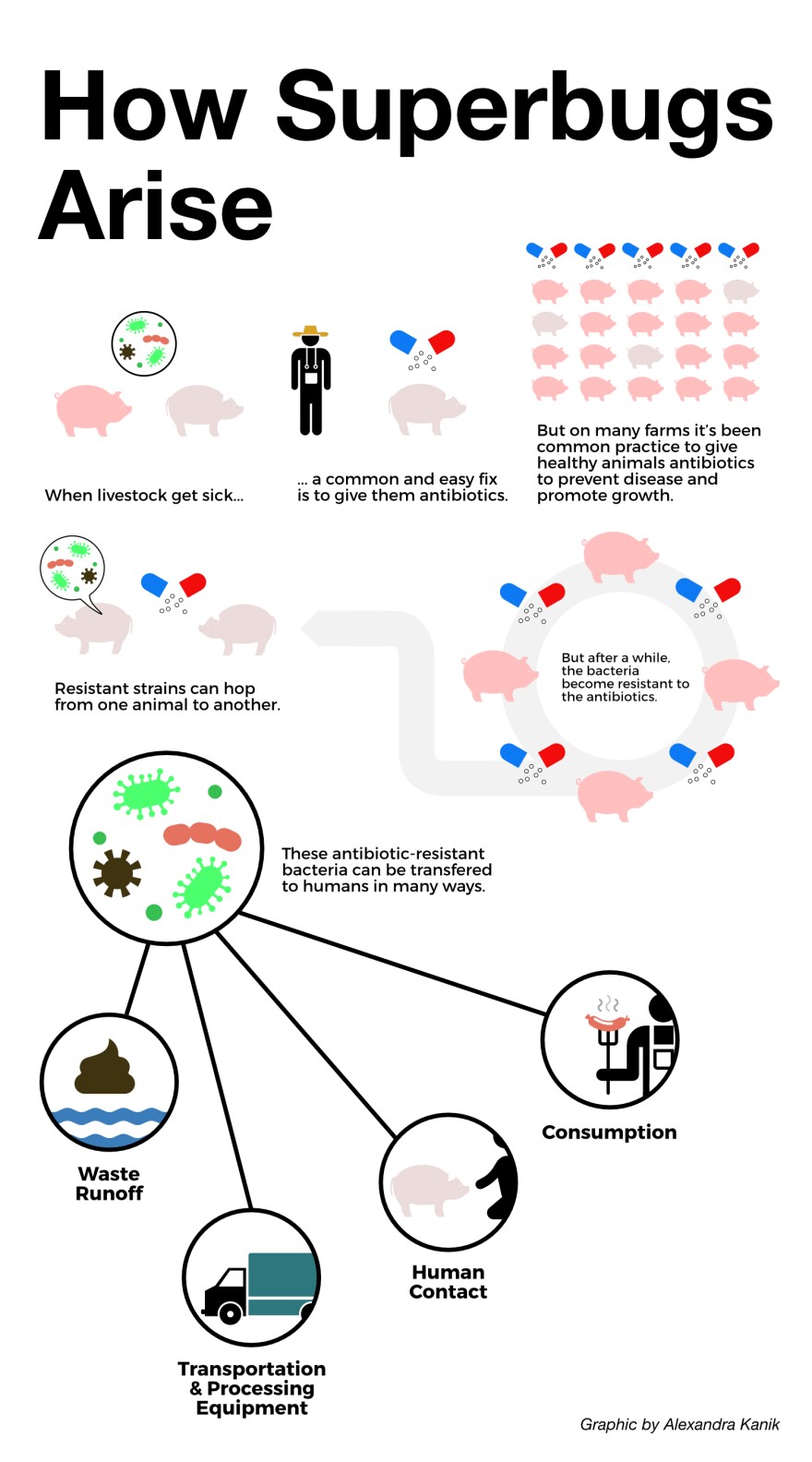 livestock-antibiotics-diagram.jpg