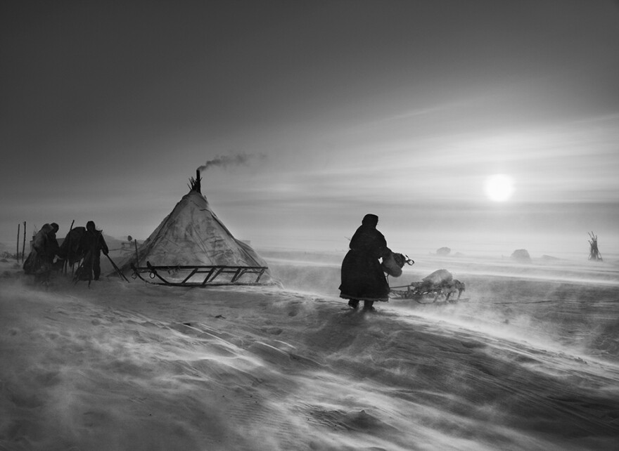 Fierce winds keep even daytime temperatures low inside the Arctic Circle. This scene is from Siberia's Yamal peninsula. 2011.