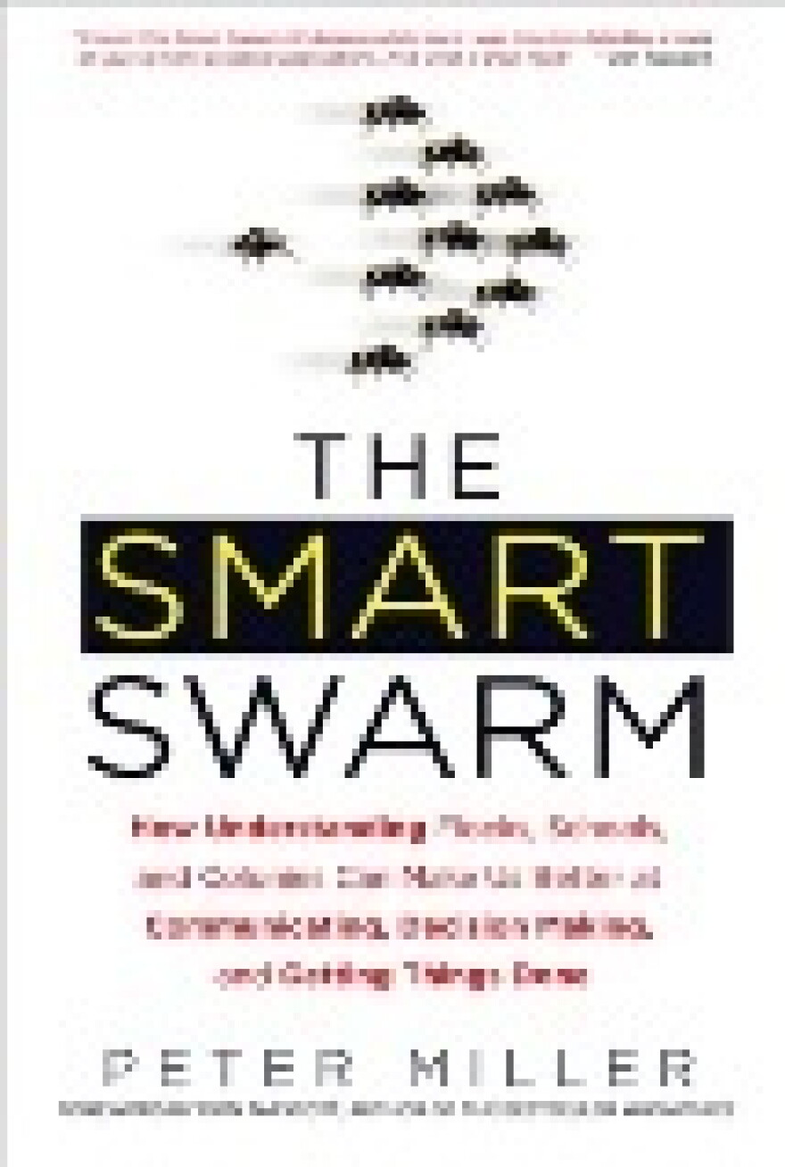 What Can We Learn from the Bugs, Birds and Bees?