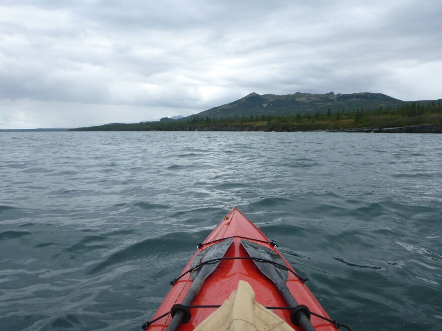 Lake Illiamna. Photo courtesy Bob Vollhaber.