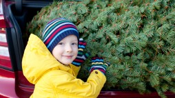 ChristmasTree800x450A.jpg