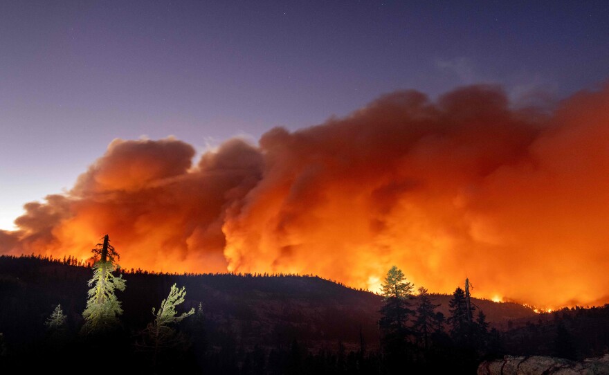 Orange smoke clouds are seen above a forest,