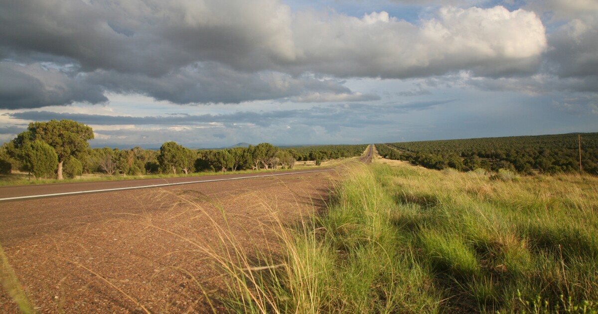 Show Low, Communities Could Be Evacuated Due To Cedar