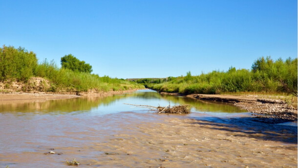 Low, muddy flows on the Rio Grande bordered by green vegetation upstream of Elephant Butte Reservoir in New Mexico.
