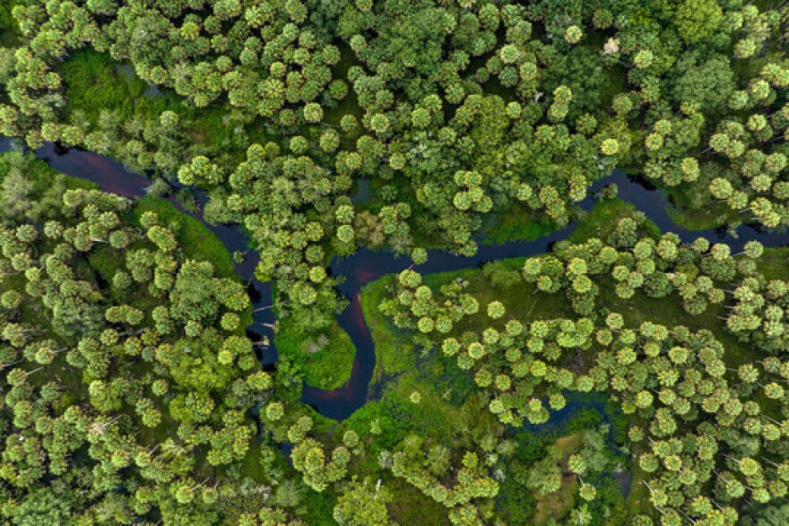 Aerial photo of Horse Creek