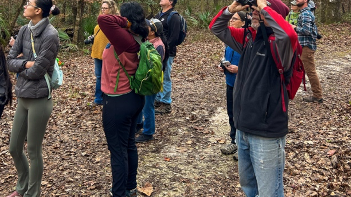 A boardwalk is planned for Turkey Creek Preserve, allowing a closer look at its marsh area - Vimarsana News