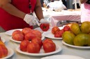 A spread of tomatoes at the annual Massachusetts Tomato Contest. Red Fire Farm in Granby won top marks in the 2025 competition.
