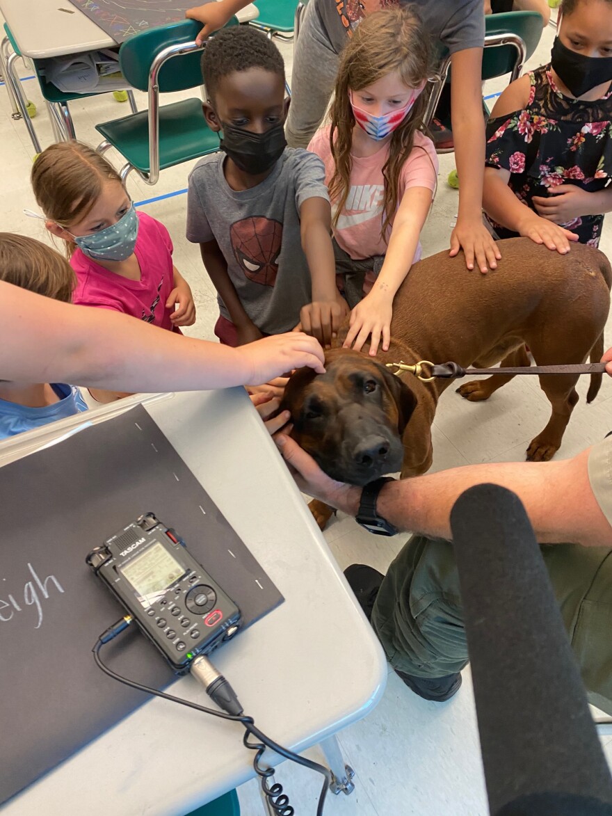 Third-graders petting NHC Sheriff Office's K-9 Bane