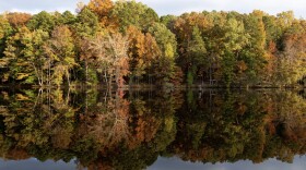 Guilford Woods reflected off a lake