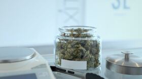 open jar of marijuana flowers next to a scale and tongs